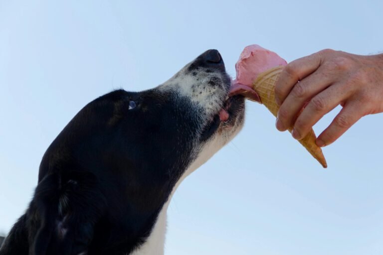 Hypoallergenic dog treats.