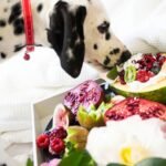 Best Food For Senior Dogs: What Really Works In 2025