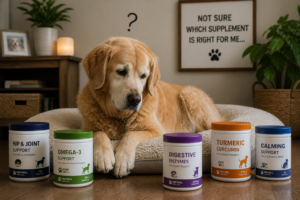 Read more about the article What Supplements Do Senior Dogs Need? (2026 Guide)