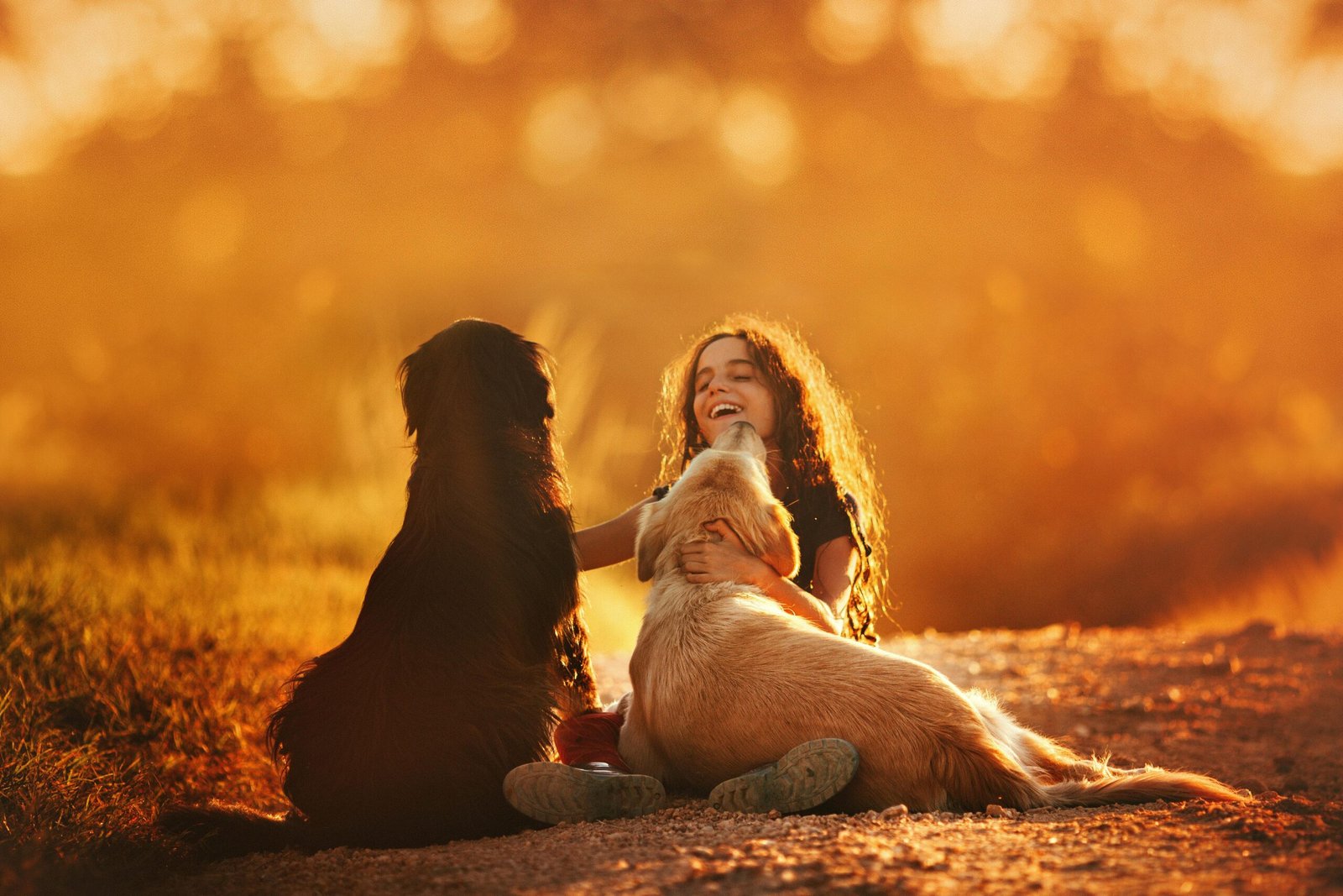 best supplements for senior dogs