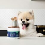 Top 10 Best Joint Supplements for Senior Dogs (Vet Recommended 2025)