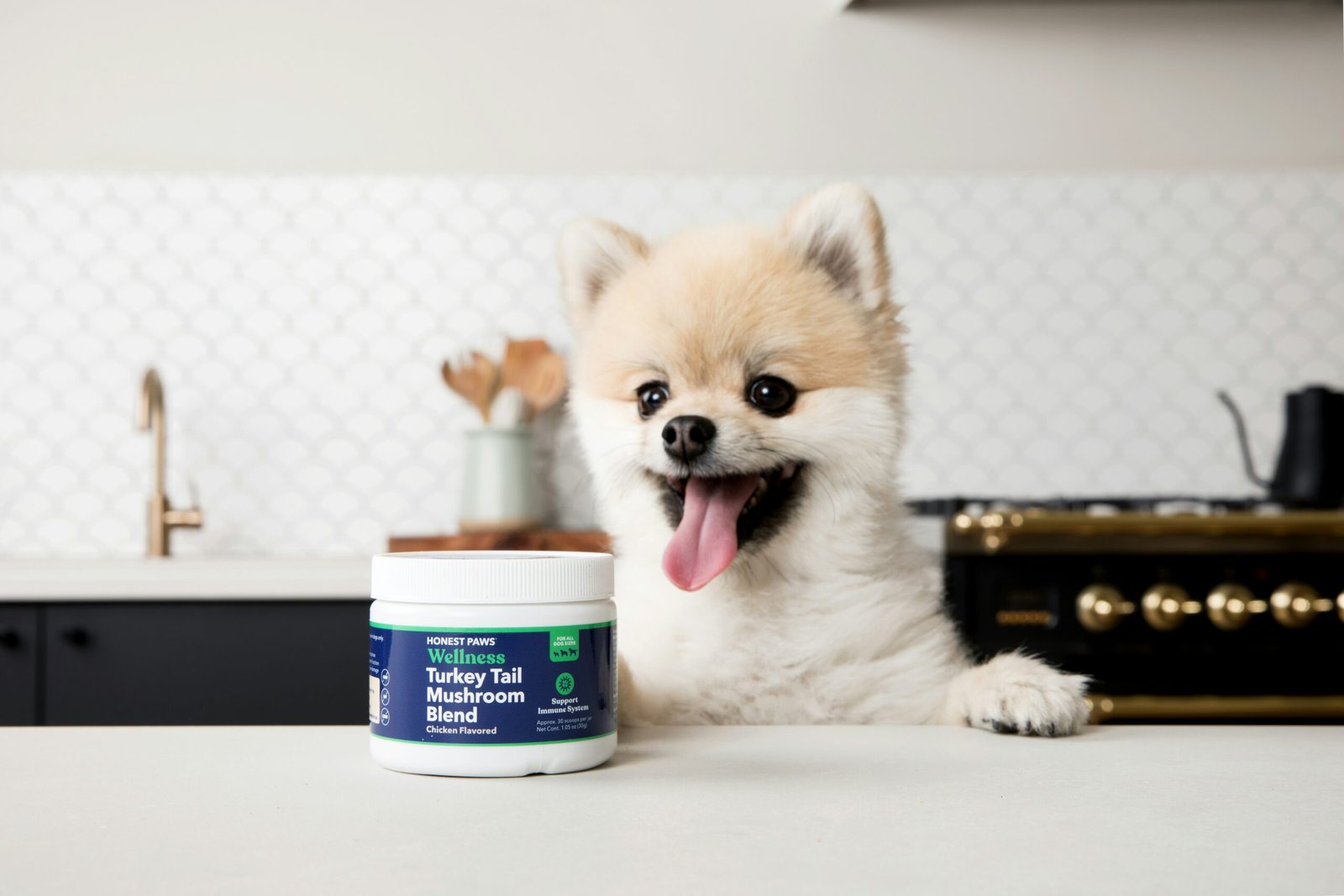 You are currently viewing Top 10 Best Joint Supplements for Senior Dogs (Vet Recommended 2025)