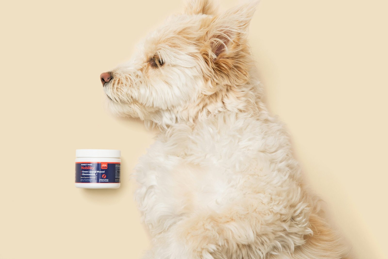Read more about the article Top 7 Best Pain Relief Products for Senior Dogs