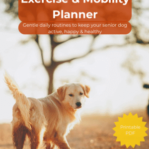 Exercise & Mobility Planner