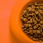 Top 8 Dog Food for Sensitive Stomachs