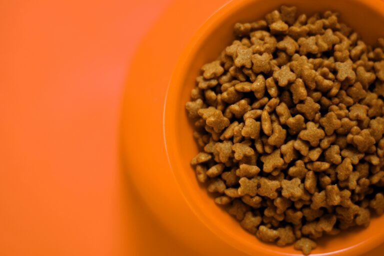 Top 8 Dog Food for Sensitive Stomachs