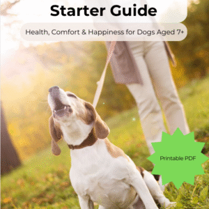 Free Beginner’s Guide for Senior Dog Owners