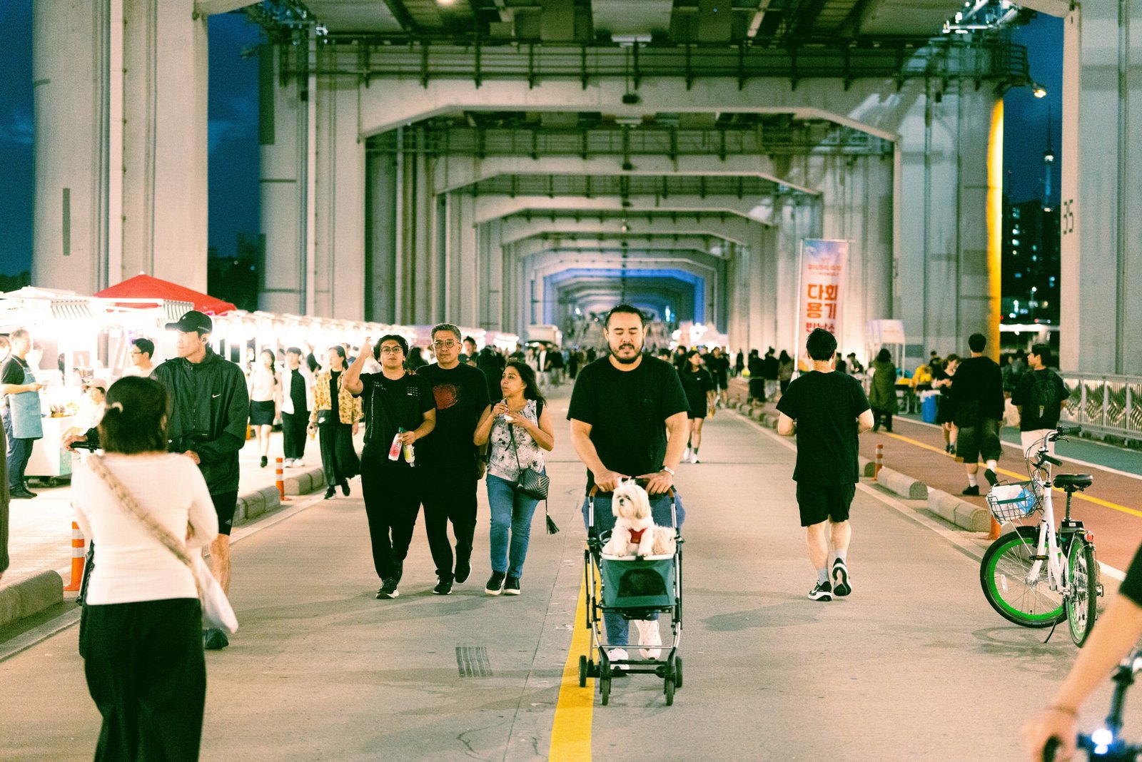 senior dog strollers