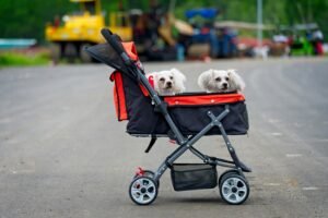Read more about the article Dog Strollers vs. Dog Carriers: Which Is Best for Your Pet?