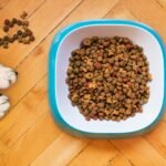 Best Dog Food for Big Senior Dogs (2026 Picks)