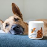 Best Joint Supplements for Senior Dogs (Top 6)