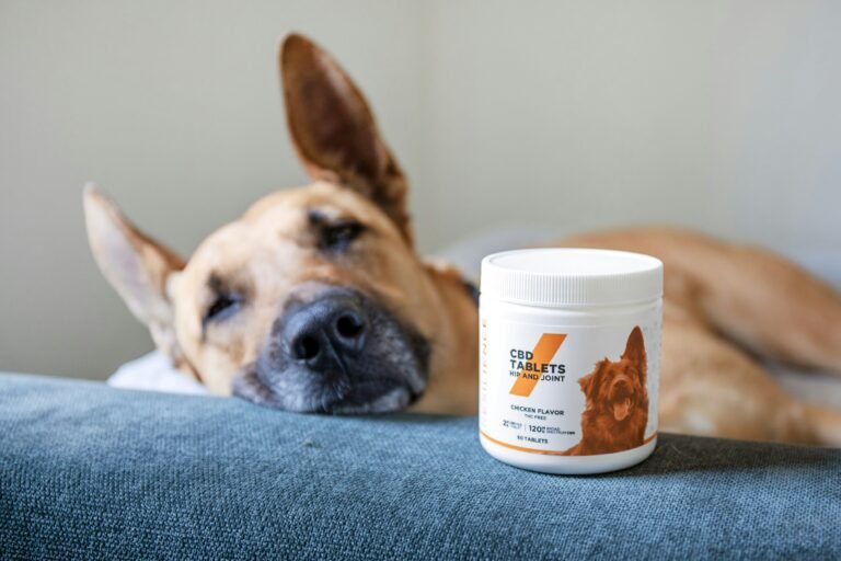 Best Joint Supplements for Senior Dogs (Top 6)