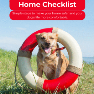 Safety & Home Checklist