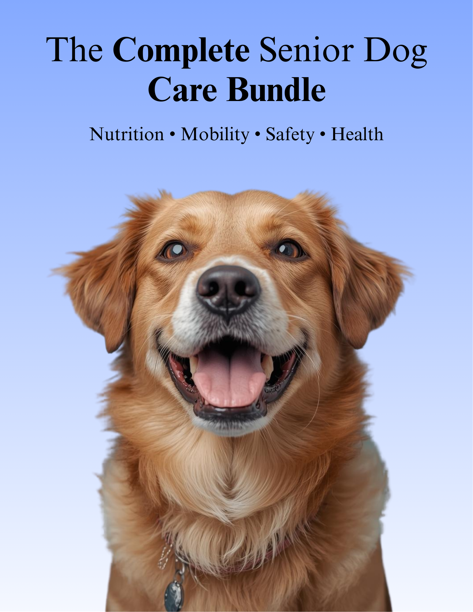 The Complete Senior Dog Care Bundle