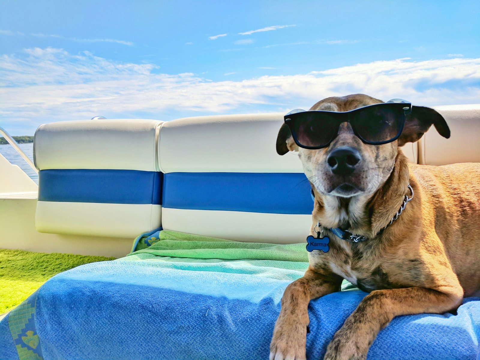 best cooling mats for dogs
